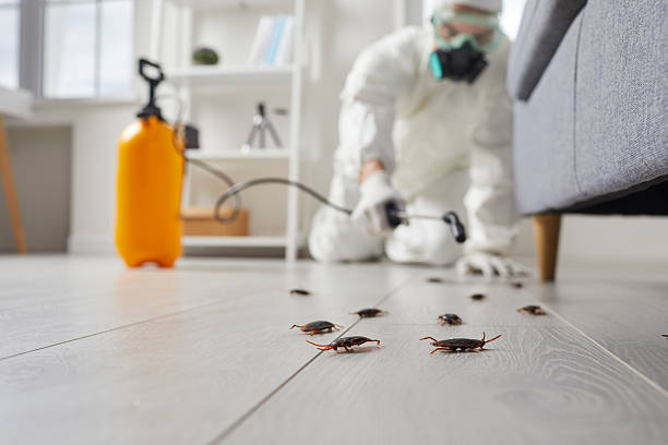 Commercial Kitchen Cockroach Control in Oak Leaf